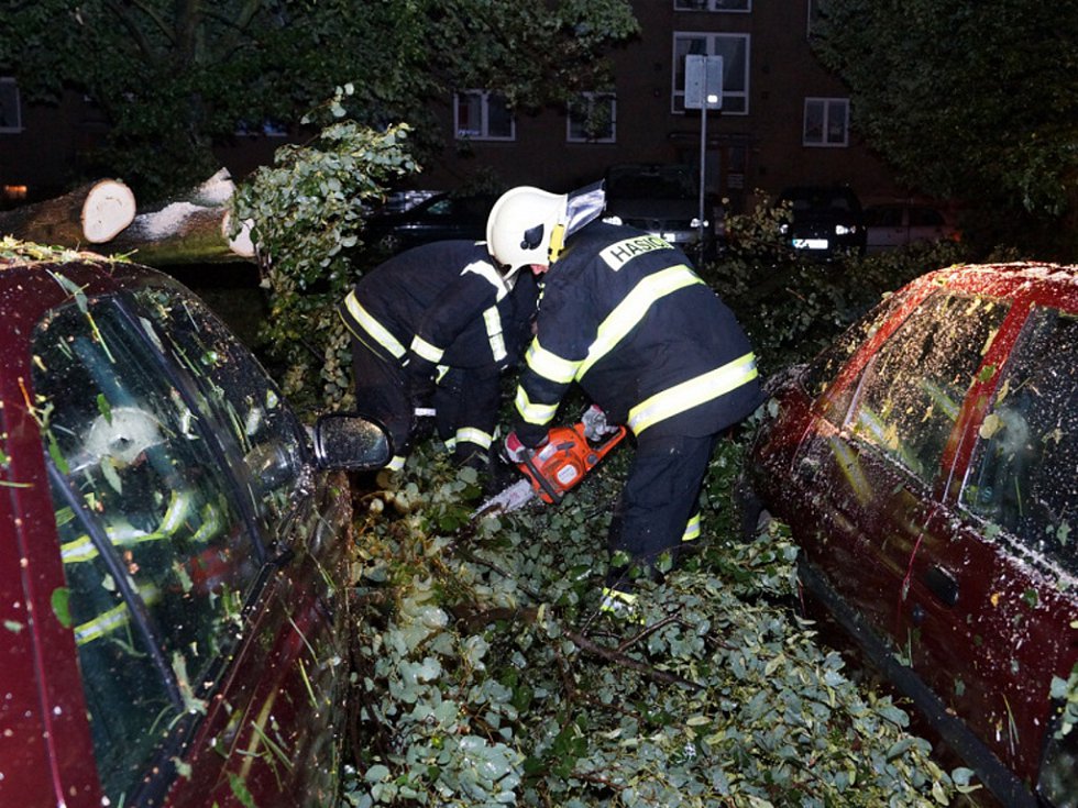 ČAP k výsledkům roku 2019: Trh meziročně rostl o 5,7 %